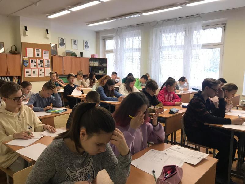 На «Математическом празднике» дети делили между котами сосиски