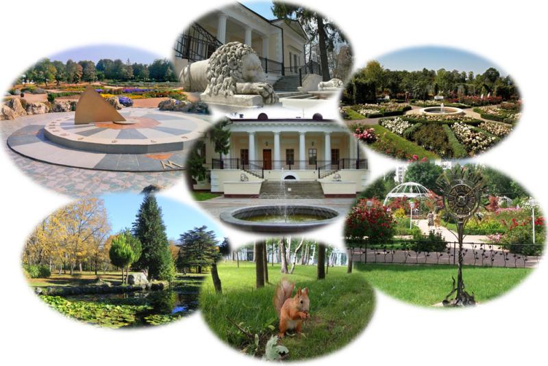 «Город счастливых надежд»