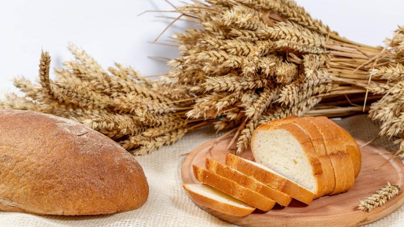 «Был хлеб всегда в почёте на Руси».