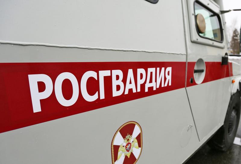 В Подмосковье сотрудники Росгвардии задержали подозреваемых в грабеже