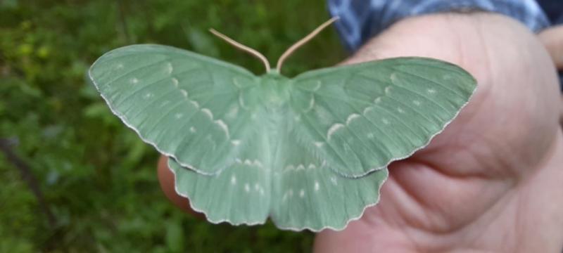 Юные краеведы принесли победу школе №2120