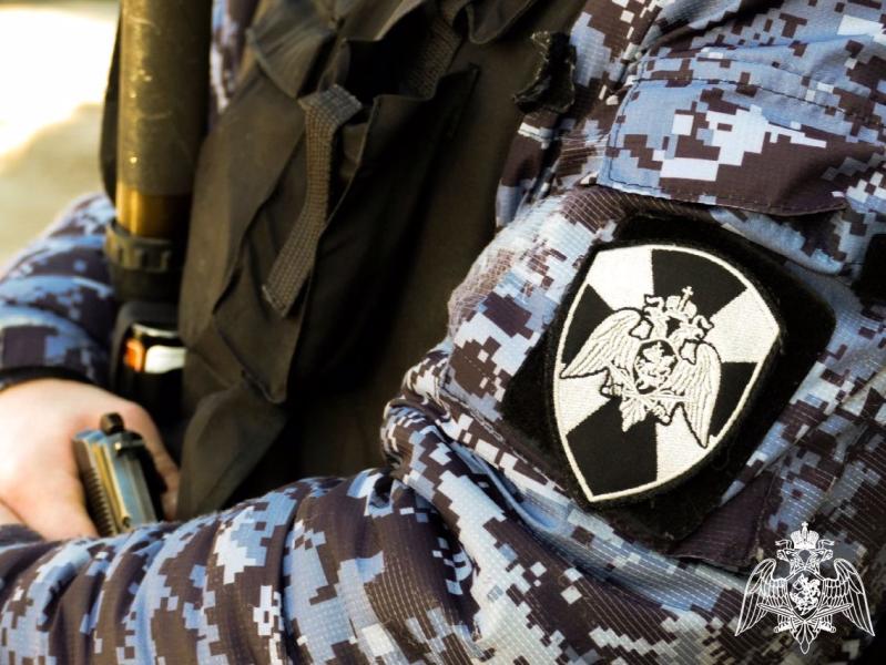 За неделю орловские росгвардейцы выявили 16 нарушений в сфере оборота оружия и боеприпасов