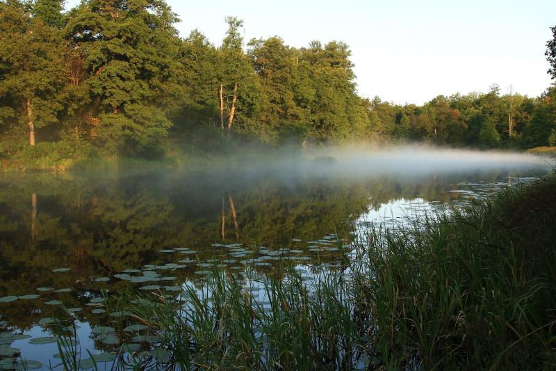 В Мордовии планируют построить мусорный полигон, который угрожает здоровью людей и экологии
