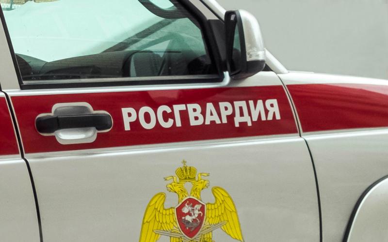 РОСГВАРДЕЙЦЫ ЗАДЕРЖАЛИ БОЛЕЕ 10 ЗЛОУМЫШЛЕННИКОВ В РОСТОВСКОЙ ОБЛАСТИ