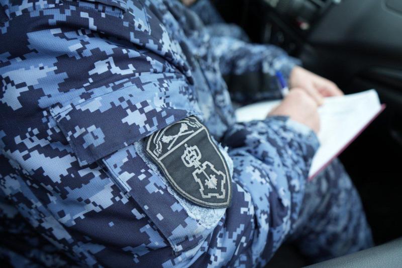 В Московской области сотрудники Росгвардии задержали нарушителя общественного порядка