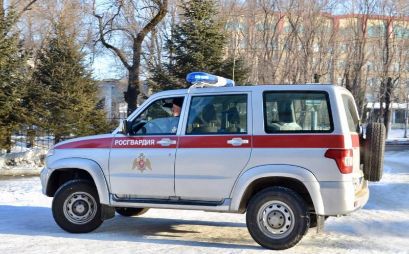 Дебошир в магазине села Николаевка ЕАО задержан росгвардейцами