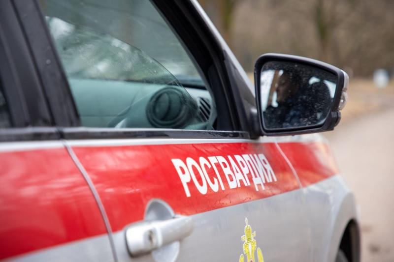 Сотрудники Росгвардии задержали подозреваемого в угрозе убийством в Подмосковье