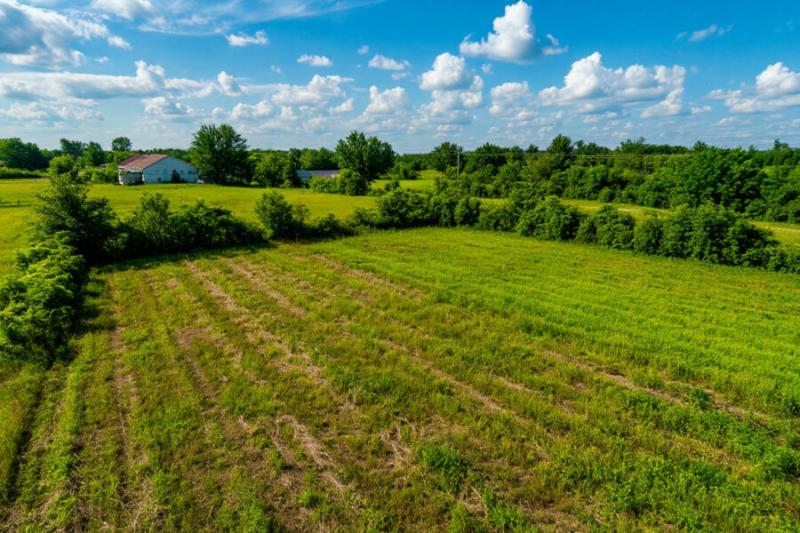 Определены критерии для изъятия земельных участков у новосибирцев