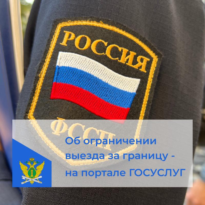 Узнайте об ограничении выезда за границу на портале Госуслуг
