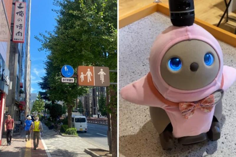 Сибирячку удивили дети-роботы в Японии