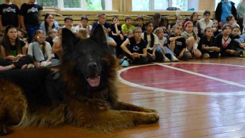 Росгвардейцы провели тематический урок в рамках ведомственной акции в Тамбове