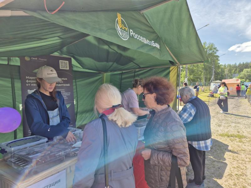 Ярмарка фермерских продуктов «Вкусная пятница» прошла на Дне Костромского села