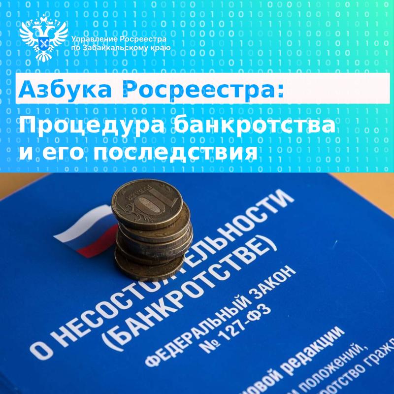 Азбука Росреестра: процедура банкротства и его последствия