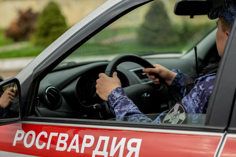 В Мордовии за прошедшую неделю экипажи Росгвардии более 80 раз выезжали по сигналу 