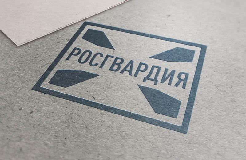 В Мордовии сотрудниками Росгвардии за прошедшую неделю изъяты 24 единицы оружия