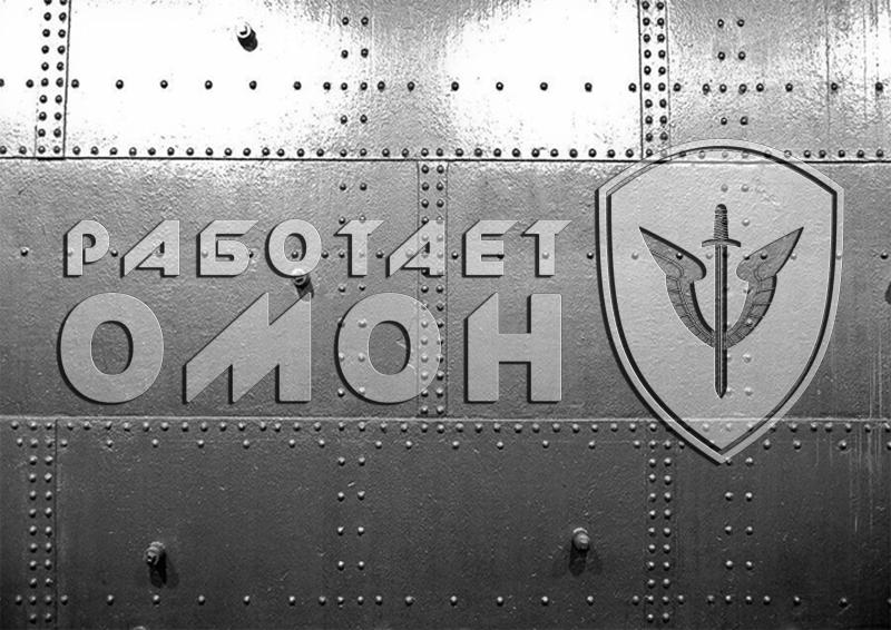 Взрывотехники ОМОН Росгвардии обследовали гранату и патроны, найденные в Биробиджане