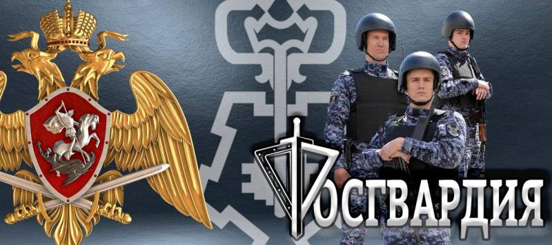 В регионах Приволжья запущены многофункциональные сайты вневедомственной охраны Росгвардии