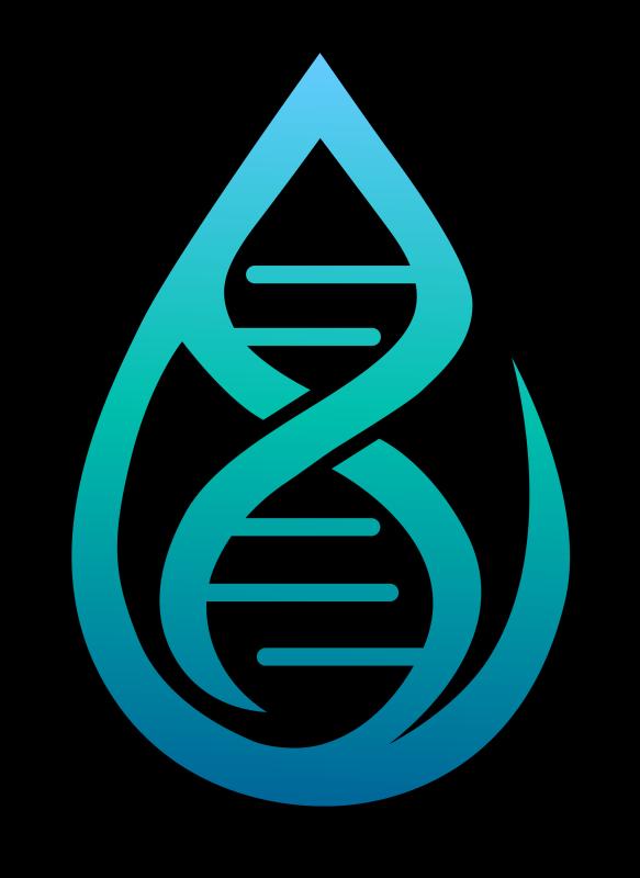 Союз Инженеров Живой Воды завершил второй этап проекта «Водный код будущего»