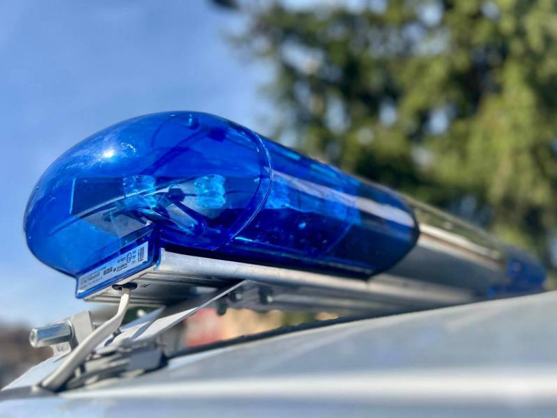 В Подмосковье росгвардейцы пресекли кражу из сетевого гипермаркета