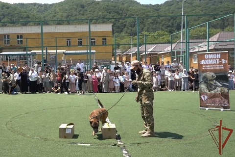 МЕРОПРИЯТИЯ АКЦИИ «КАНИКУЛЫ С РОСГВАРДИЕЙ» ПРОХОДЯТ В ЧЕЧЕНСКОЙ РЕСПУБЛИКЕ