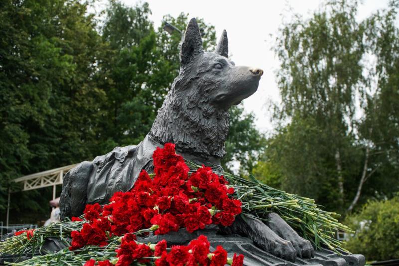 Кинологи ОМОН «Авангард» Росгвардии приняли участие в семейном фестивале