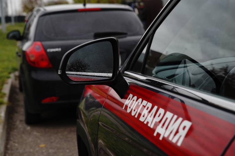 В Саранске росгвардейцами был задержан нарушитель общественного порядка