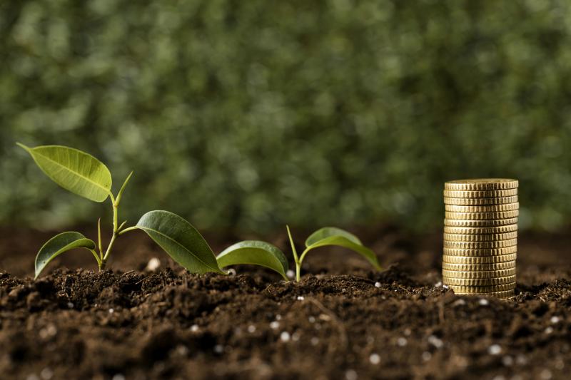 Новосибирцы выбирают краткосрочные вклады