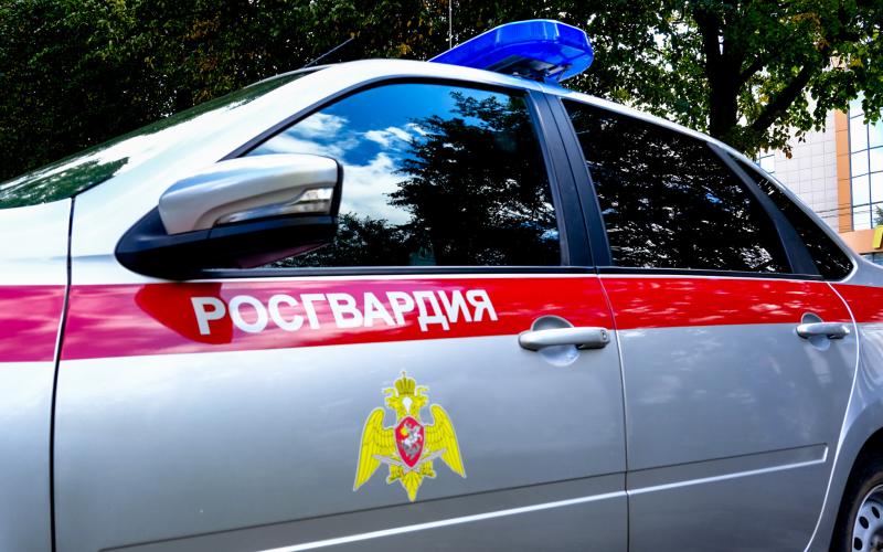 Сотрудники Росгвардии задержали гражданина, подозреваемого в совершении кражи товара из магазина в Йошкар-Оле