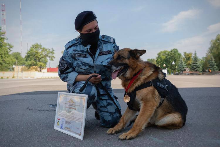 Во Всемирный день домашних животных героем рубрики «Знай наших» стал минно-розыскной пес подмосковного главка Росгвардии