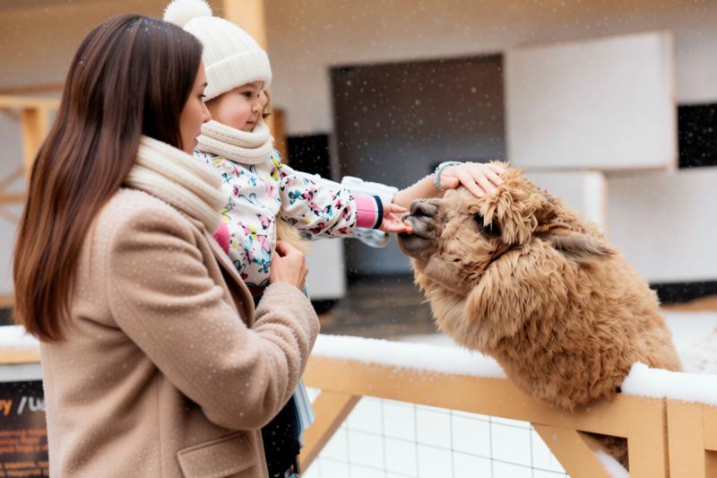 «Альпака Парк» в Сокольниках подготовил новогодние подарки для детей