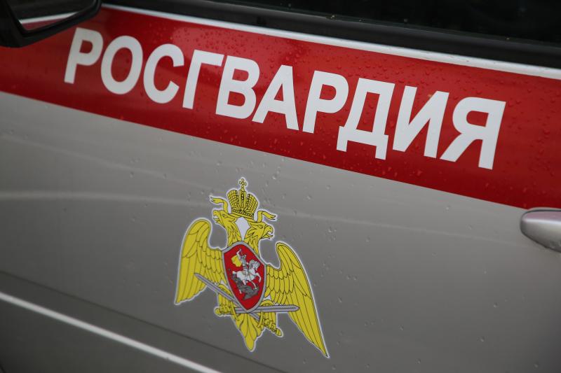 В Саранске экипаж Росгвардии задержал нетрезвого дебошира