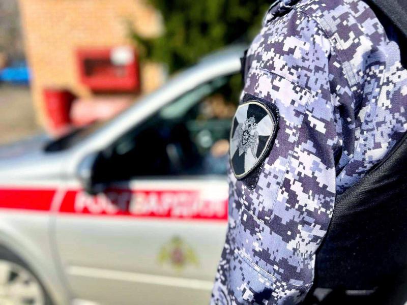 Росгвардейцы задержали подозреваемого в убийстве в Подмосковье