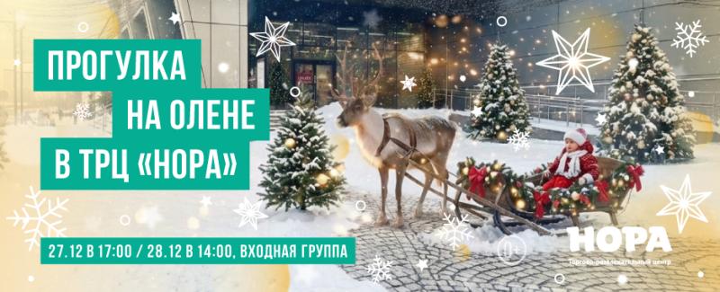 Северное чудо в ТРЦ «Нора»: катание на оленях для гостей торгового центра